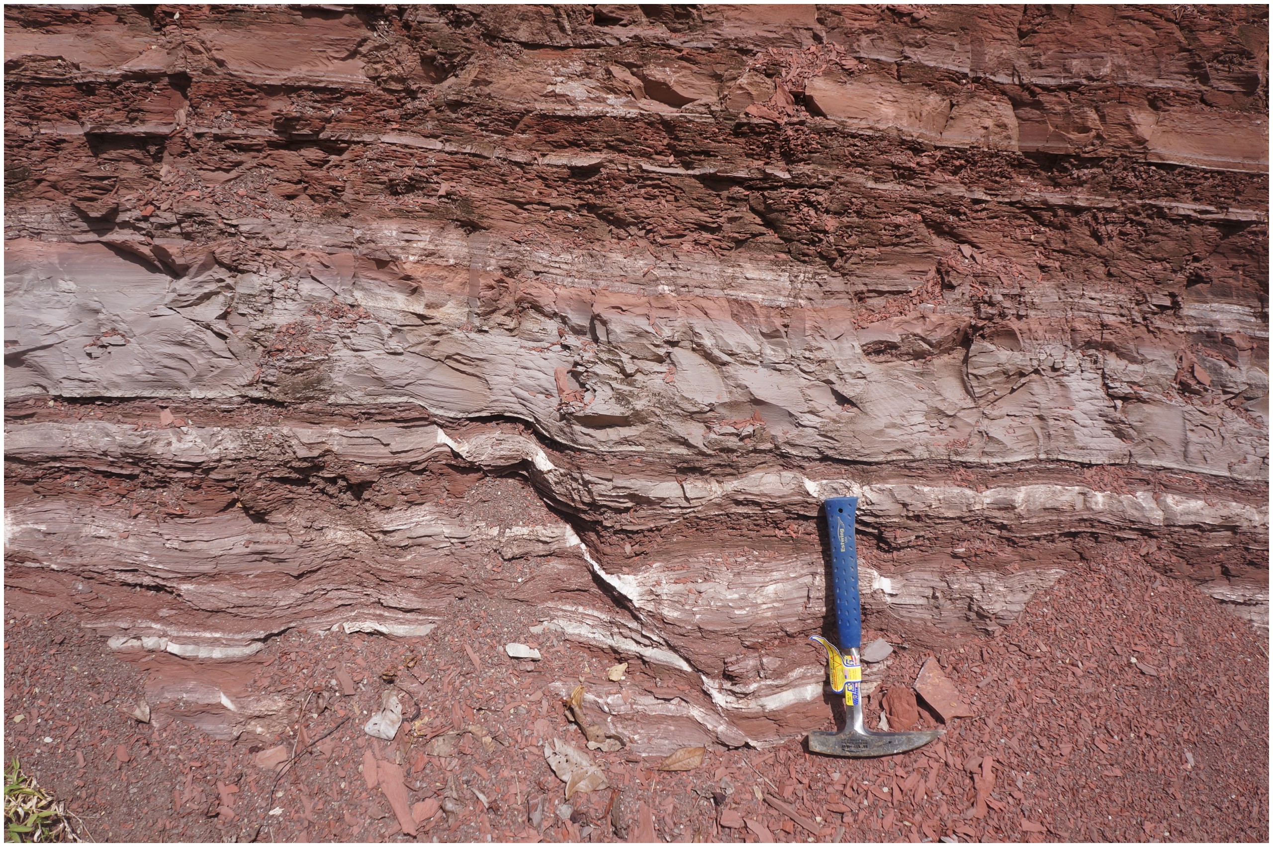 Normal fault cut Mesozoic rocks in road cut from Kolonodale to Wekuli, Sulawesi